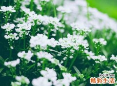 有寓意有意义的个性网名，经典昵称不特别但却唯一