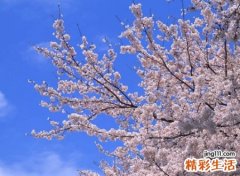 超级给力精辟的微信昵称，最近超火的微信经典网名
