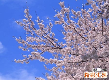 超级给力精辟的微信昵称，最近超火的微信经典网名
