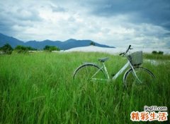 符合欧美潮流最火的时髦英文网名