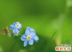简约而不简单的诗意名字，文艺网名用心去感受一个人