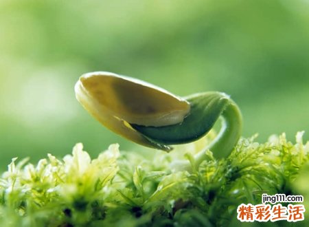 努力拼搏奋斗的微信名称，励志网名追梦赤子心