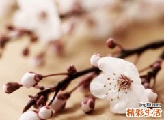 时尚大气的qq网名带符号，今年最火的qq个性昵称