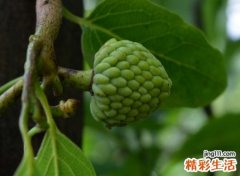 唯美古风复古的诗意名字，快手个性网名看尽世间繁华