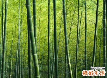 震撼人心有深度的网名，成熟稳重大气的个性昵称
