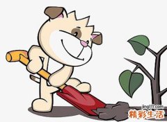 梦见狗咬到脚破了点皮但是出了很多血