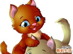 梦见被猫追扑倒我怀里撒娇