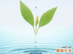 看淡一切释然的微信名，今生看淡红尘的微信网名