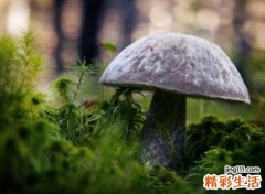 带你潇洒带你嗨的劲爆游戏名，霸气游戏名字吸引人的目光