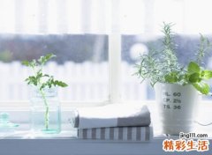 比较阳光温暖的幸福网名，文艺好听的快乐贴心昵称