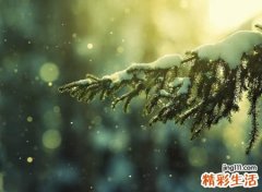 心如死灰绝望的微信名，痛到心碎的伤感微信昵称