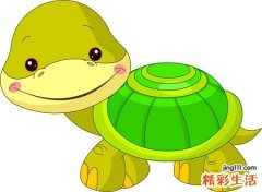 梦见硕大的乌龟很凶猛要咬人泄愤