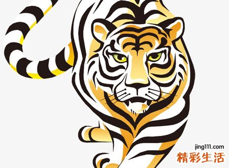 梦见东北大老虎蹲在我家门口吼叫