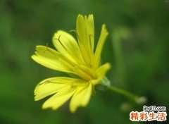 最凄凉相当沮丧的网名，孤单伤感的颓废昵称