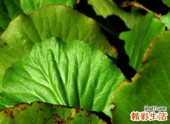 让人看了就心痛想哭的伤感网名，心酸昵称只在乎我在乎的人