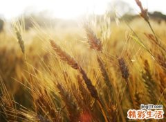 成熟简单有哲理的现实网名，暗含深意的个性昵称