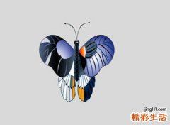 梦见黑蝴蝶落在我身上和我亲密互动