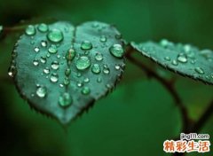 长一点好听的个性网名，最火的快手长网名