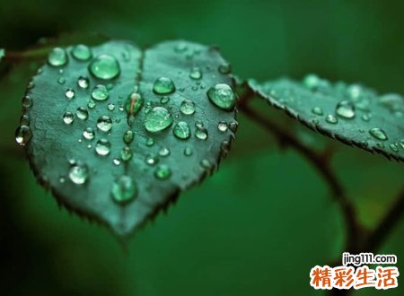 长一点好听的个性网名，最火的快手长网名