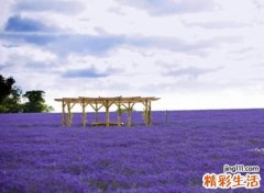 唯美复古的昵称大全，怀旧有深意的微信网名
