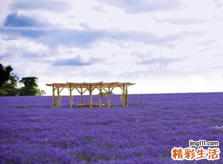 唯美复古的昵称大全,怀旧有深意的微信网名