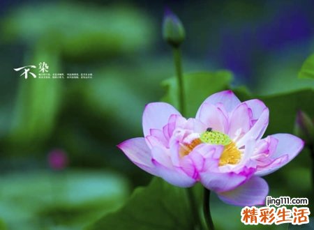 好听的昵称带特殊符号，简单网名霸气有号召力