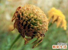 有诗意的歪歪yy名字，霸气好看的yy频道名字
