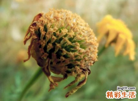 有诗意的歪歪yy名字，霸气好看的yy频道名字