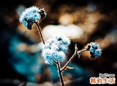 简单好听让人难忘的歌词网名，让人印象深刻的抖音昵称