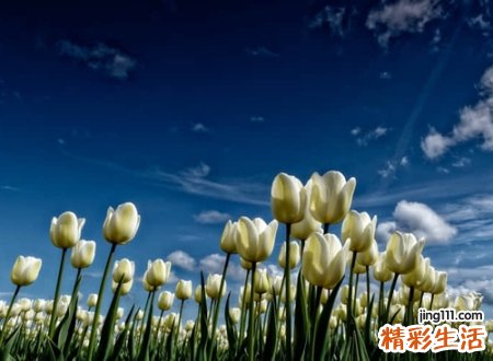 有关自然风景的文艺名字，小清新网名花朝月夕如诗如画