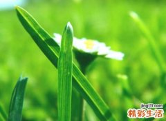 蕴含浓郁生活艺术气息的唯美网名，艺术昵称爱在灯火阑珊时