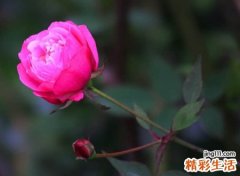 古风有诗意的微信名字，唯美有个性的内涵网名