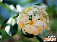 好听又难忘的文艺昵称，舒适婉约稳重的微信网名