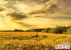 梦见和死人在一起愉快的玩乐过家家