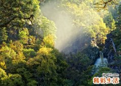 梦见亲姥爷死了又活过来了还蹦蹦跳跳