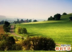 梦见一排排的死人等着入殓