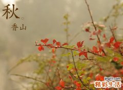 梦见很多死人堆在一起等待掩埋