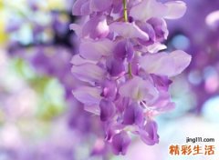 突然有点小伤感的网名，最红快手昵称高品格单恋