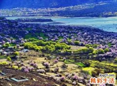 欧美最时尚的高端名字，新颖洋气的外国英文网名