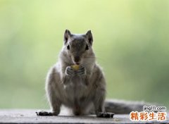 经典好心情的年轻人朝气网名，阳光乐观的微信名字