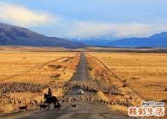 梦见死人躺在棺材里向我隔空喊话