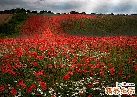 梦见死人向我笑得很阴冷很恐怖