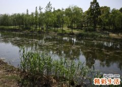 梦见死人面带微笑和我谈笑风生