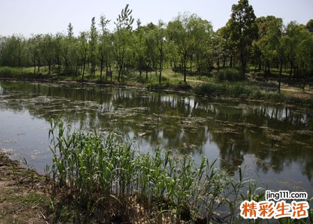 梦见死人面带微笑和我谈笑风生