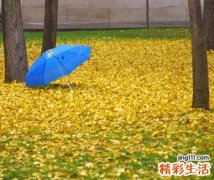 酷一点有点范儿的游戏名字