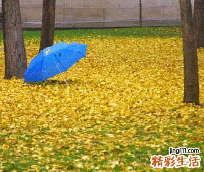 酷一点有点范儿的游戏名字