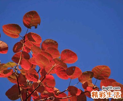 好听不落伍的简单游戏名字