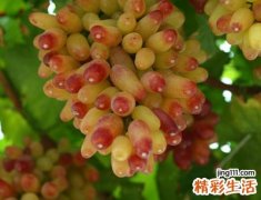 时髦个性点的吃鸡名字