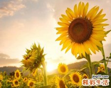 冷艳唯美的七个字微信昵称