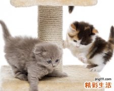 傲气逗比的微信个性网名